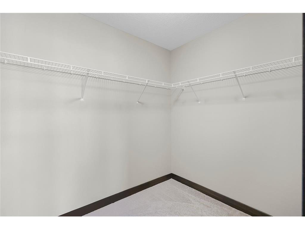 13566 Birdsong Path Rosemount MN 55068 6825425 image28