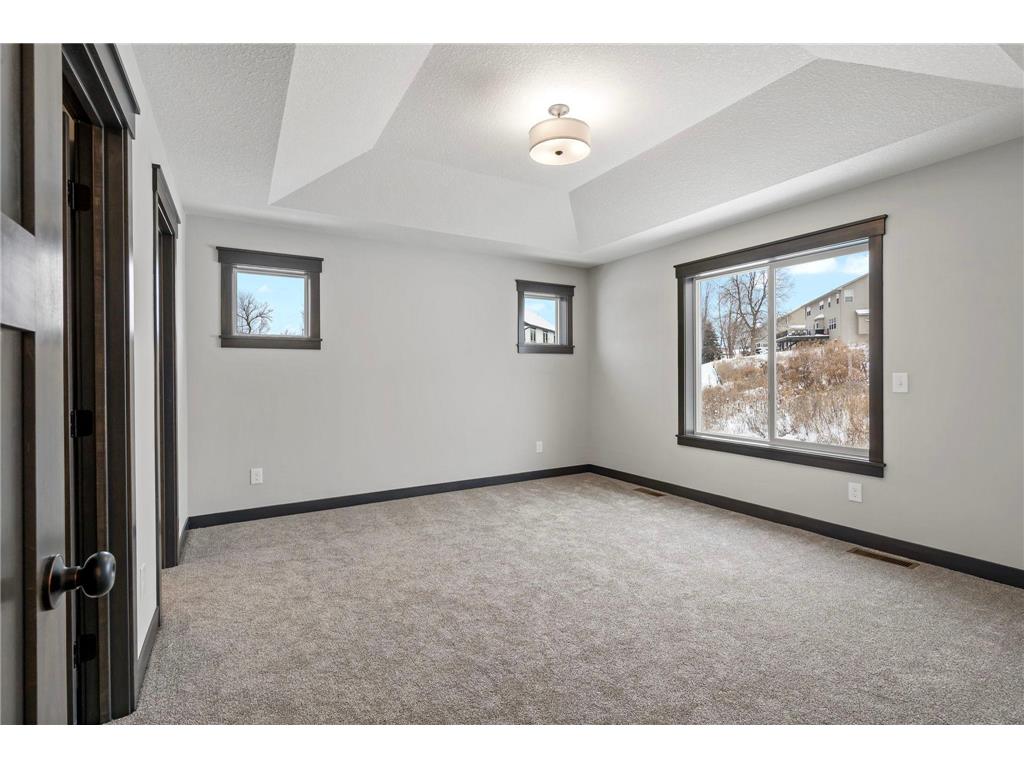 13566 Blackbird Way Rosemount MN 55068 7048925 image19