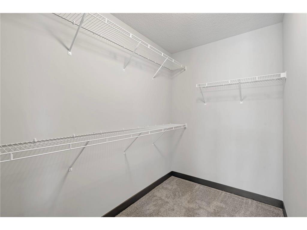 13566 Blackbird Way Rosemount MN 55068 7048925 image23