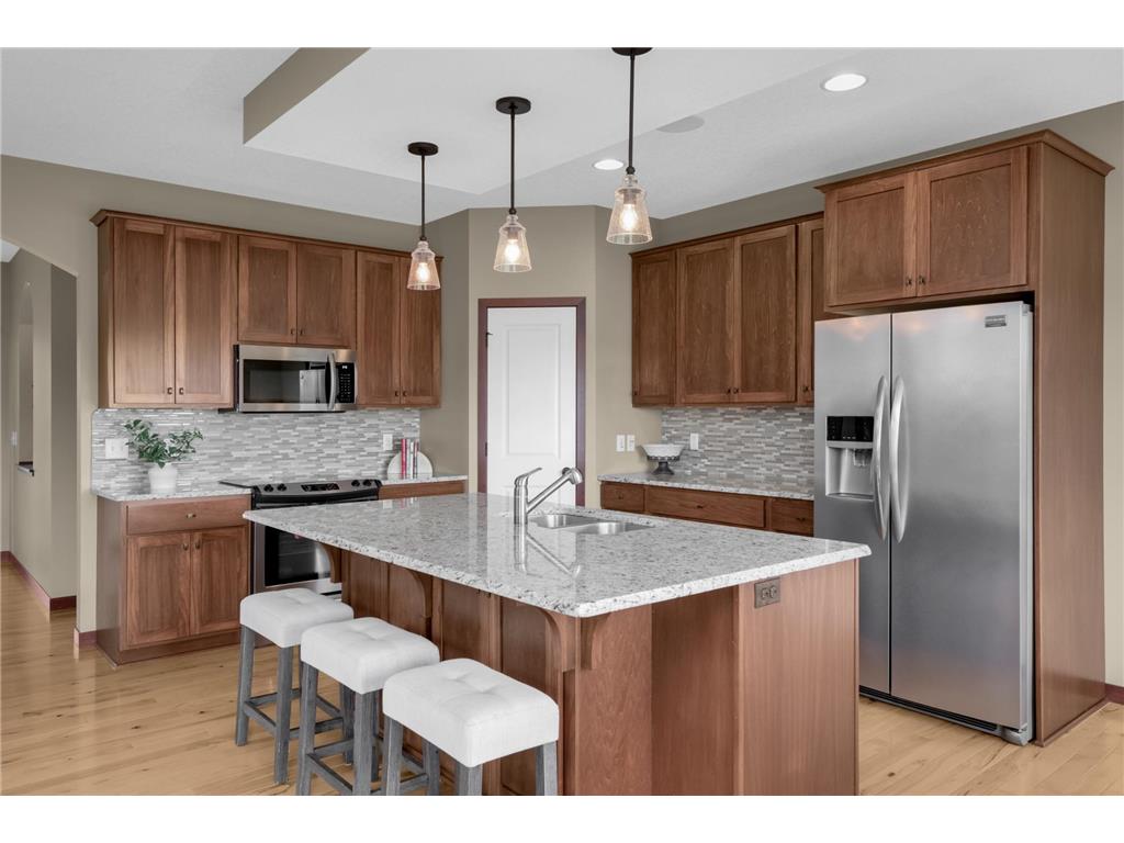 13577 Big Sandy Lake Drive Rogers MN 55374 - Cowley 7039596 image22