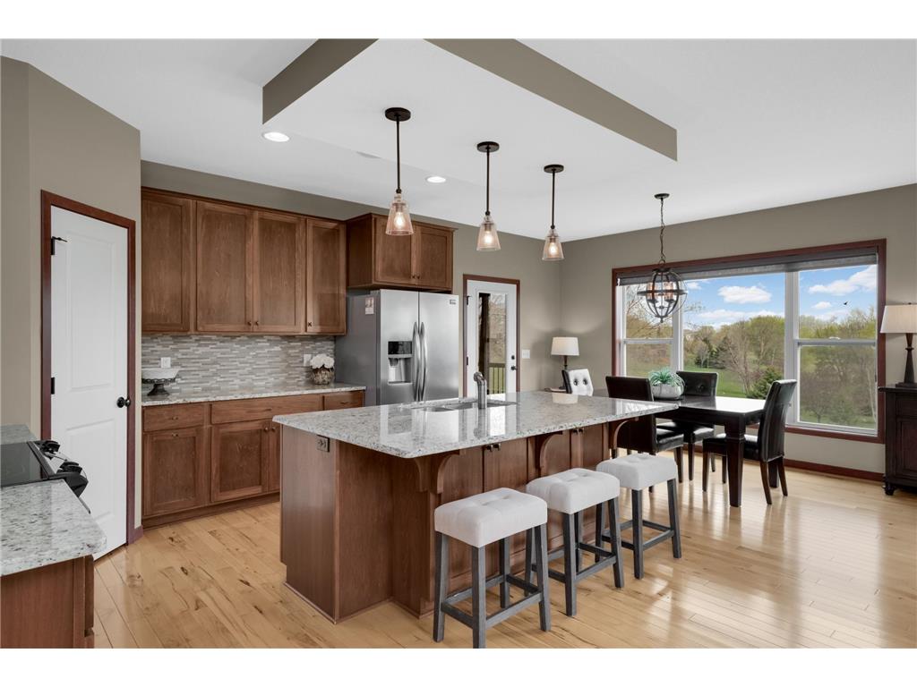 13577 Big Sandy Lake Drive Rogers MN 55374 - Cowley 7039596 image25