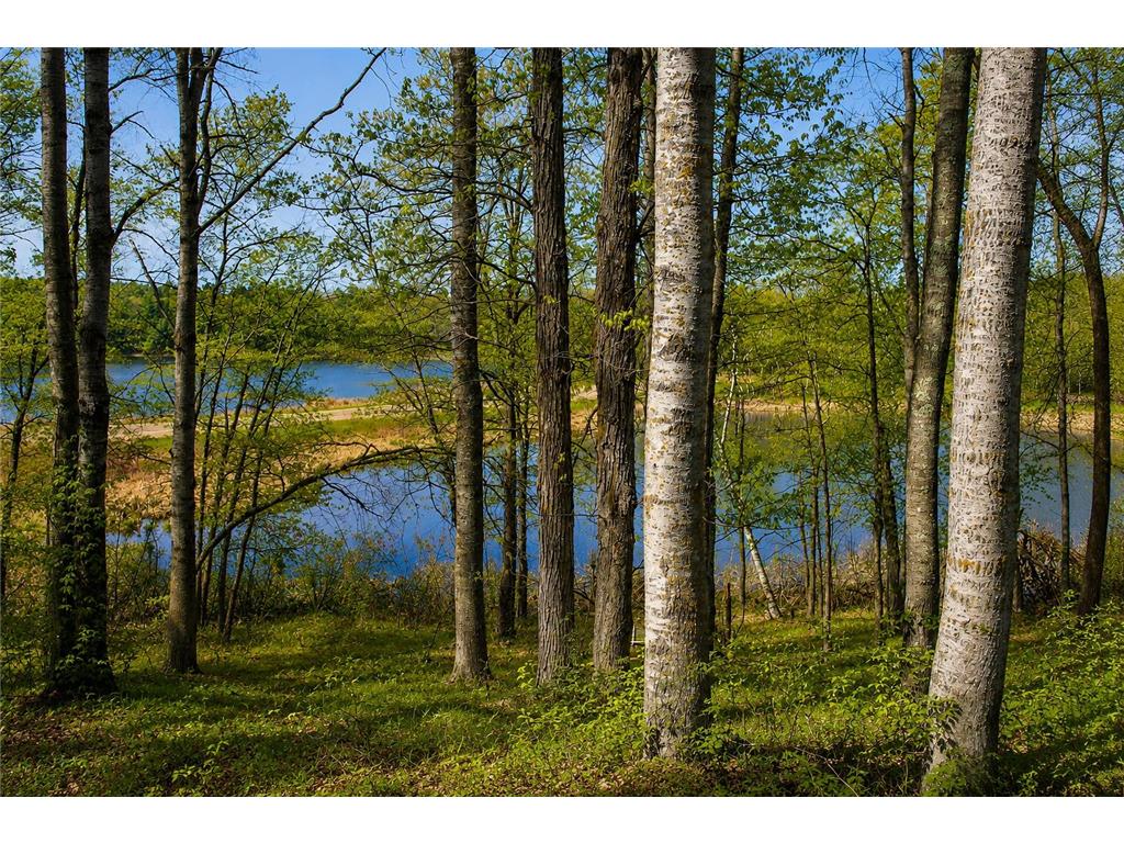13579 Hillcrest Lane SW Sylvan Twp MN 56473 - 3464 7076631 image3
