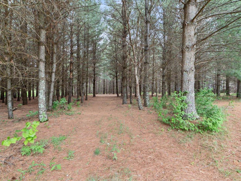 1358 County Road 17 SW Loon Lake Twp MN 56472 7079791 image53