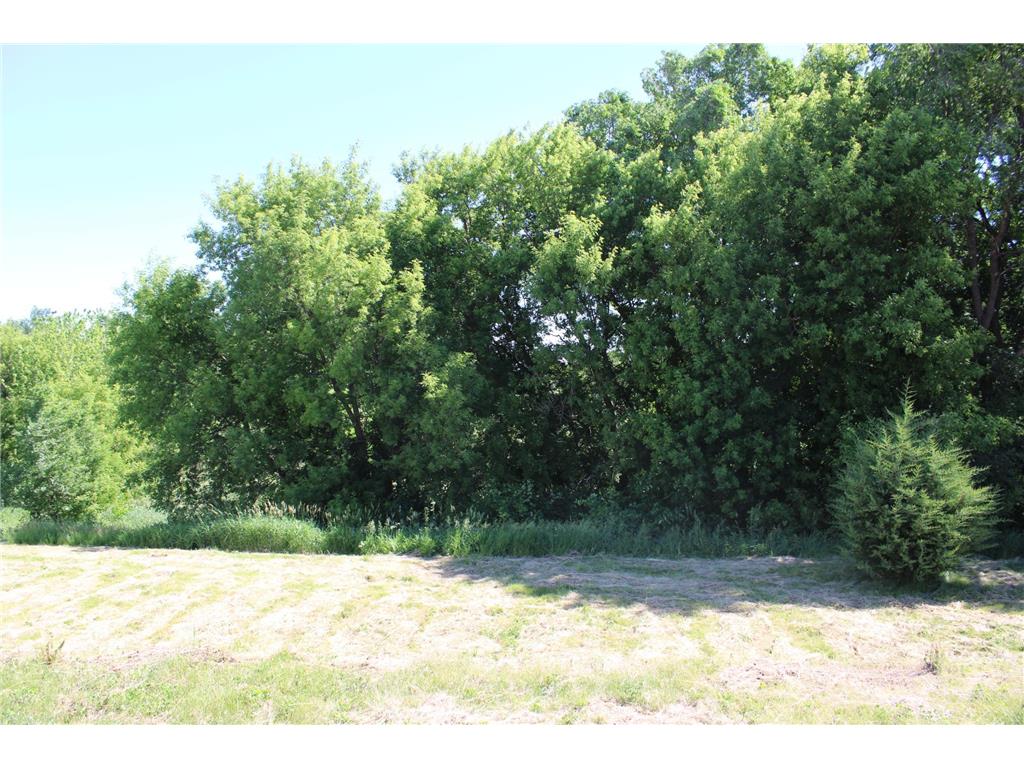 1359 Southfork Drive SE Hutchinson MN 55350 - Crow River 7092534 image3