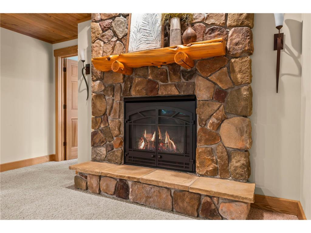 13599 Stonebrooke Curve Shakopee MN 55379 6797062 image41