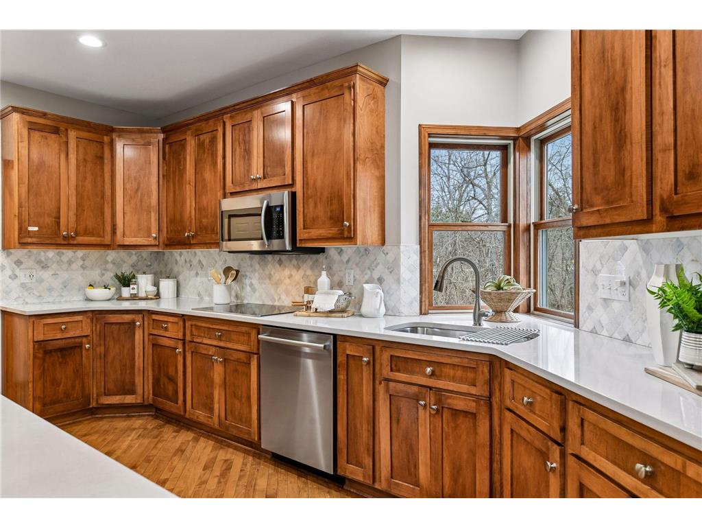 1360 Zircon Lane N Plymouth MN 55447 7020135 image12