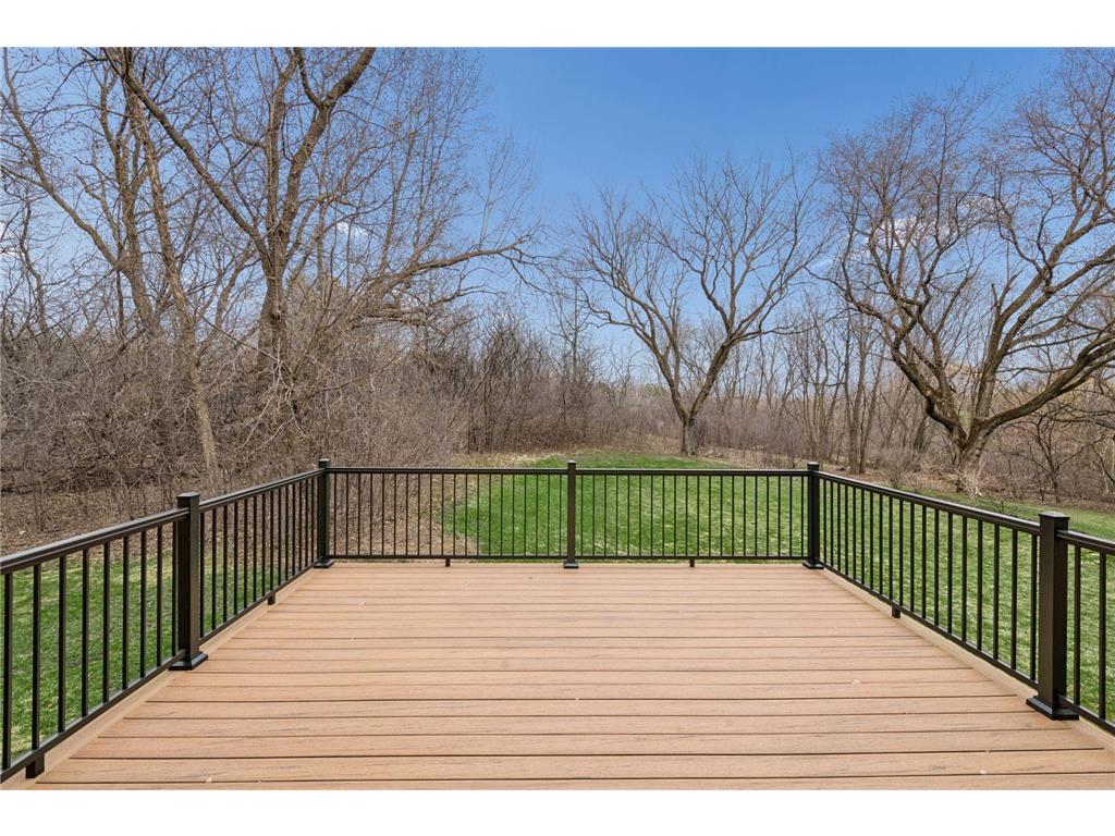 1360 Zircon Lane N Plymouth MN 55447 7020135 image48