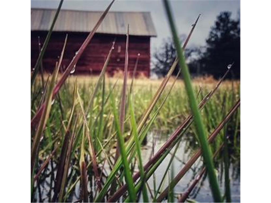 13601 123rd Street Little Falls MN 56345 7007962 image10