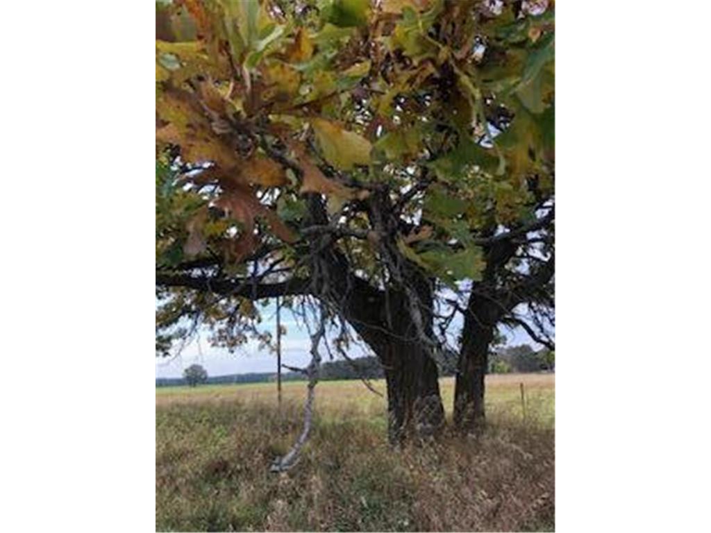 13601 123rd Street Little Falls MN 56345 7007962 image11