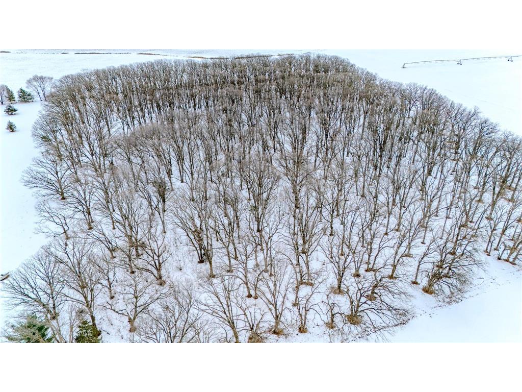 13601 123rd Street Little Falls MN 56345 7007962 image66