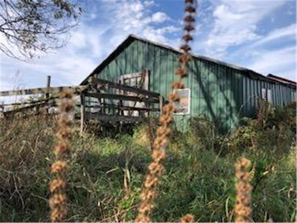 13601 123rd Street Little Falls MN 56345 7007962 image9