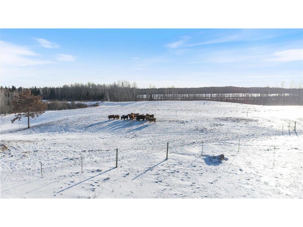 13601 E County Road 578 Goodland Twp MN 55742 7088479 image26
