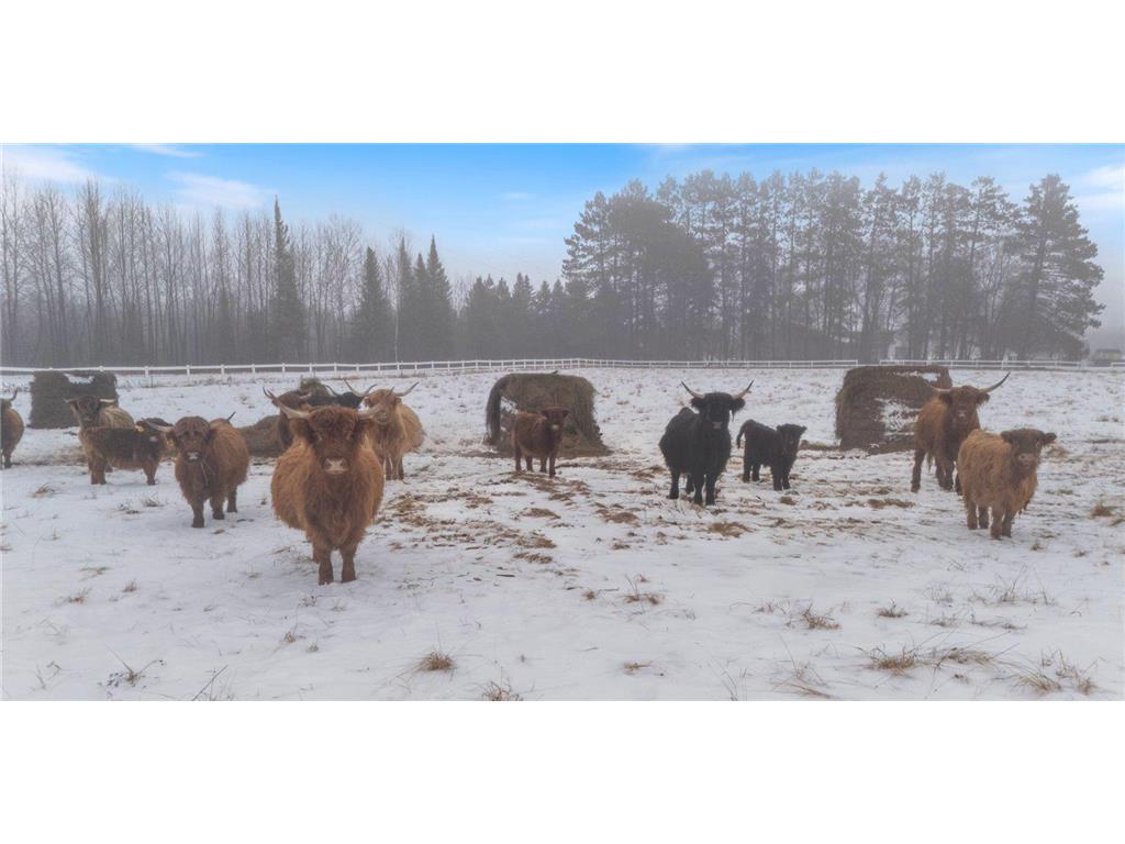 13601 E County Road 578 Goodland Twp MN 55742 7088479 image3