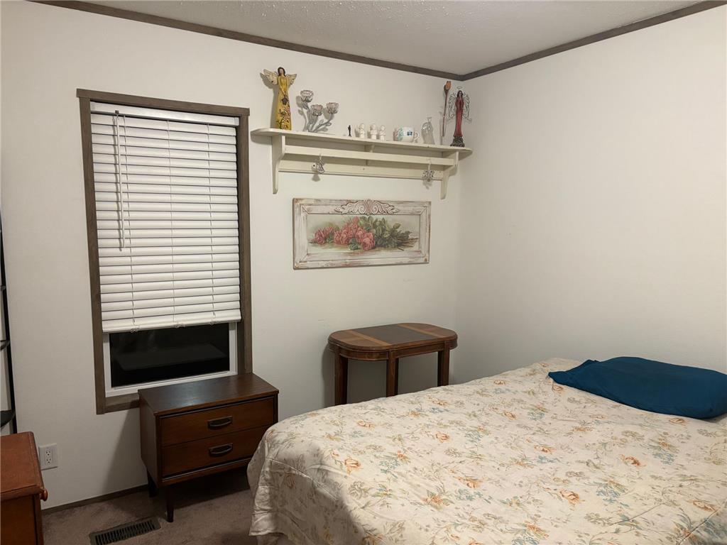 13605 Campfire Circle South Haven MN 55382 - Clearwater 6815764 image5