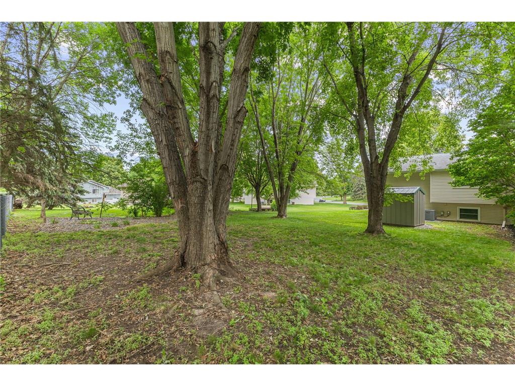 13612 86th Avenue N Maple Grove MN 55369 7106467 image32