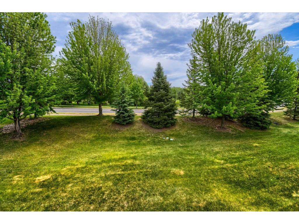 13630 Crosscliffe Place Rosemount MN 55068 7071466 image37