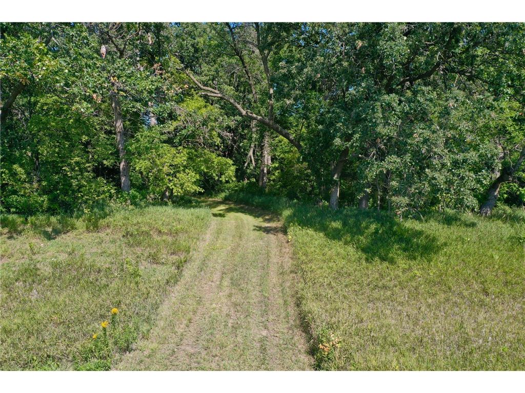 13638 183rd Street Barrett MN 56311 - Turtle Lake 6677888 image14