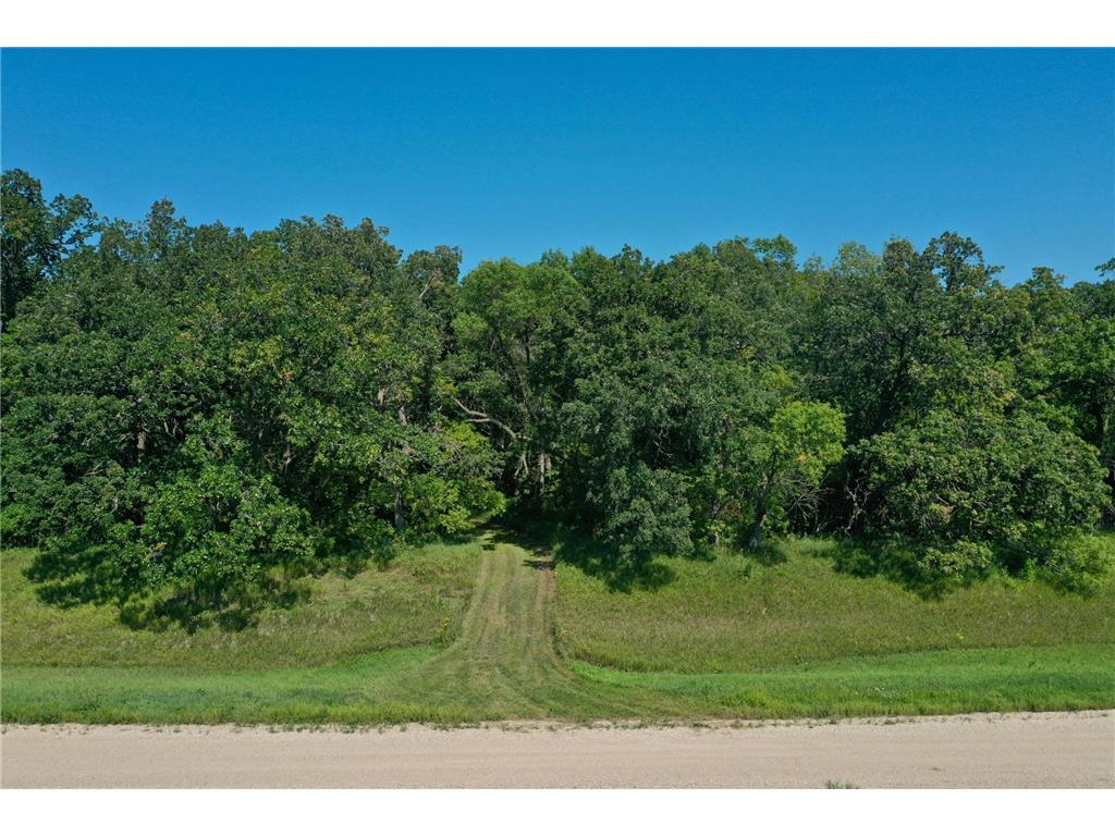 13638 183rd Street Barrett MN 56311 - Turtle Lake 6677888 image22