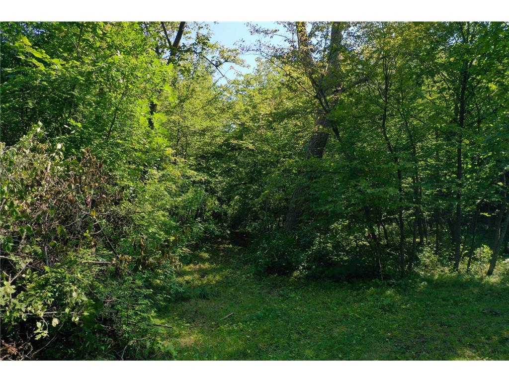 13638 183rd Street Barrett MN 56311 - Turtle Lake 6677888 image27