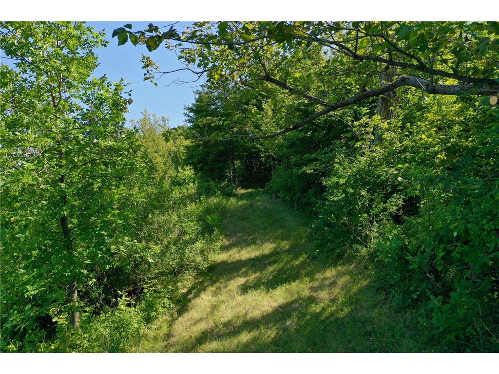 13638 183rd Street Barrett MN 56311 - Turtle Lake 6677888 image28