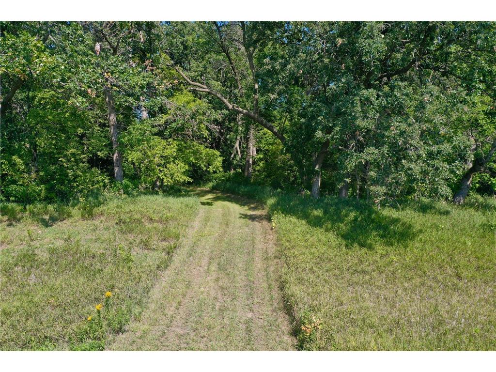 13638 183rd Street Elk Lake Twp MN 56311 - Turtle Lake 7066514 image14