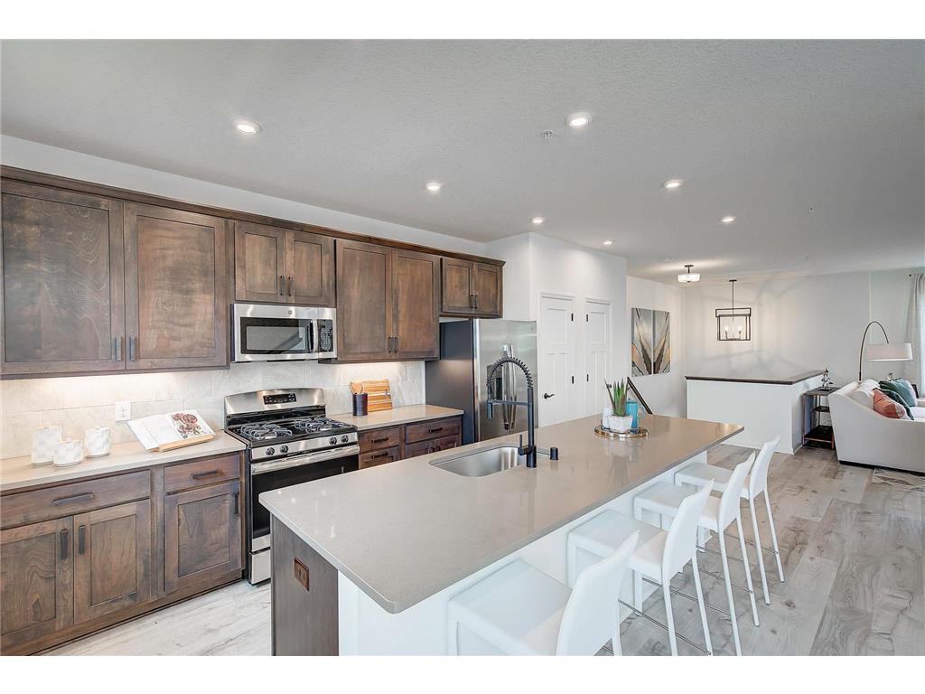 13644 Marsh View Trail Rogers MN 55374 6425249 image1