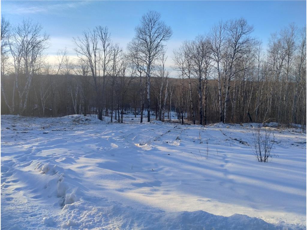 13649 188th Place Williams Twp MN 56350 - Snake River 7007489 image1