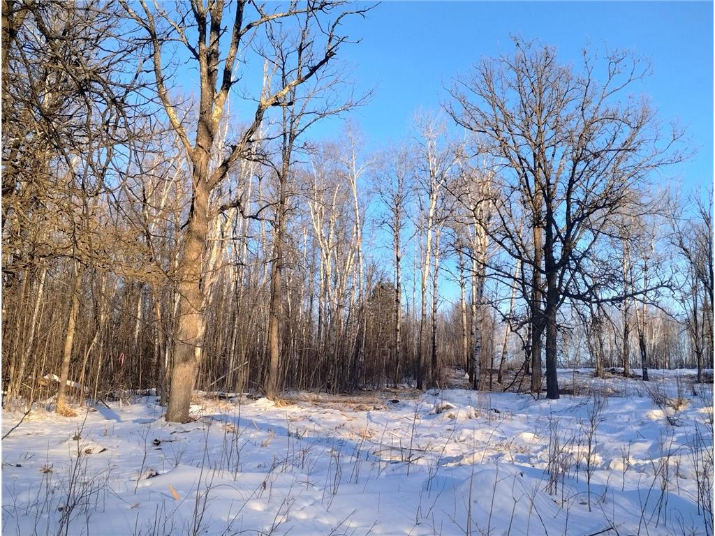 13649 188th Place Williams Twp MN 56350 - Snake River 7007489 image11