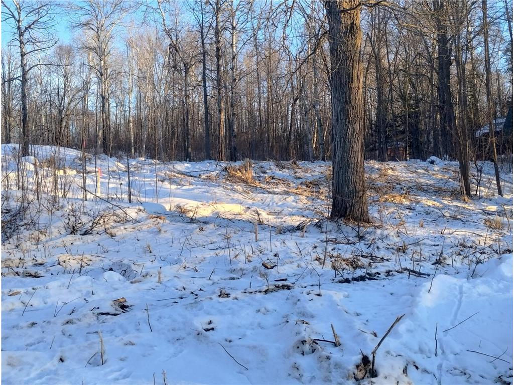 13649 188th Place Williams Twp MN 56350 - Snake River 7007489 image12