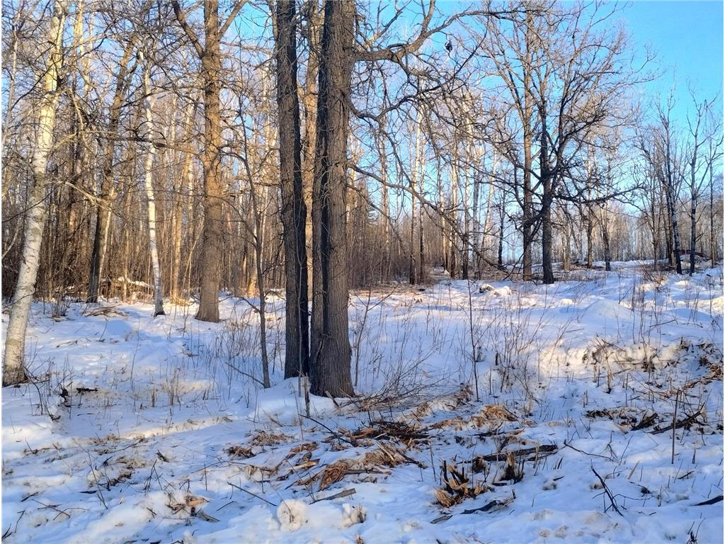 13649 188th Place Williams Twp MN 56350 - Snake River 7007489 image13