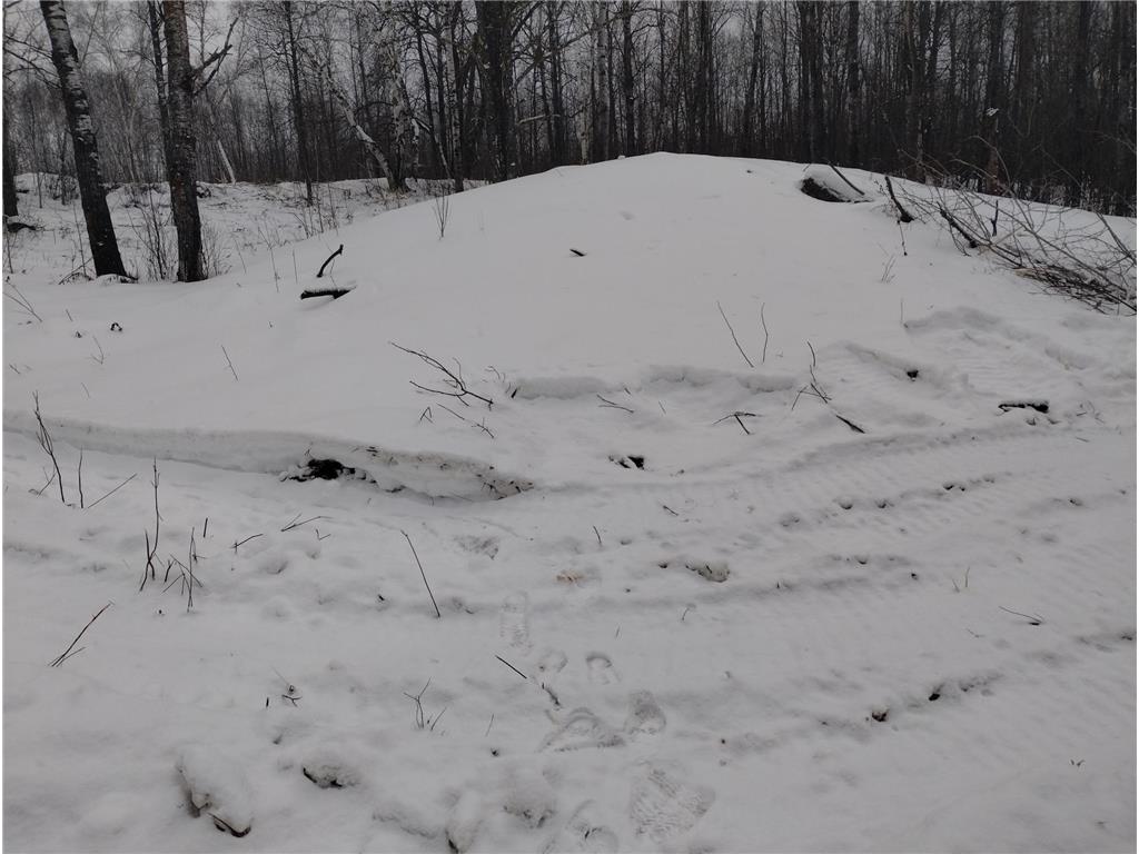 13649 188th Place Williams Twp MN 56350 - Snake River 7007489 image17