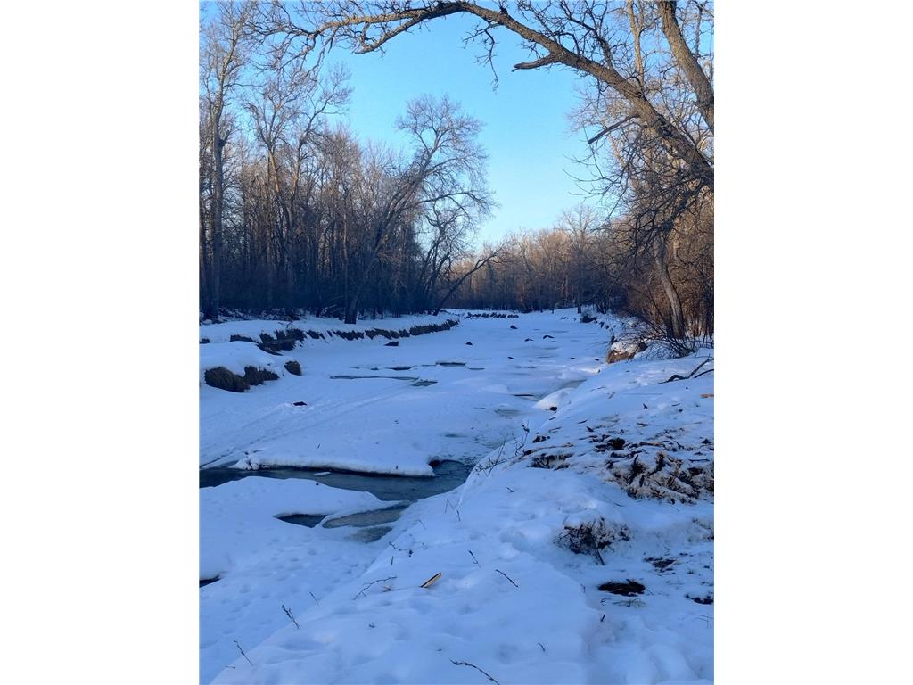 13649 188th Place Williams Twp MN 56350 - Snake River 7007489 image2