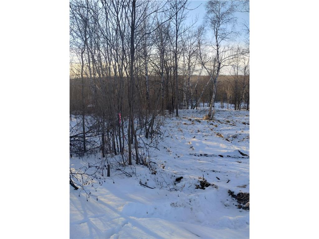 13649 188th Place Williams Twp MN 56350 - Snake River 7007489 image22