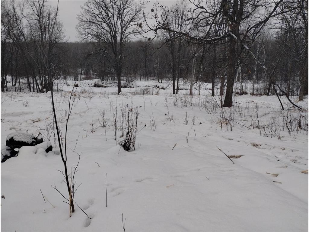 13649 188th Place Williams Twp MN 56350 - Snake River 7007489 image23