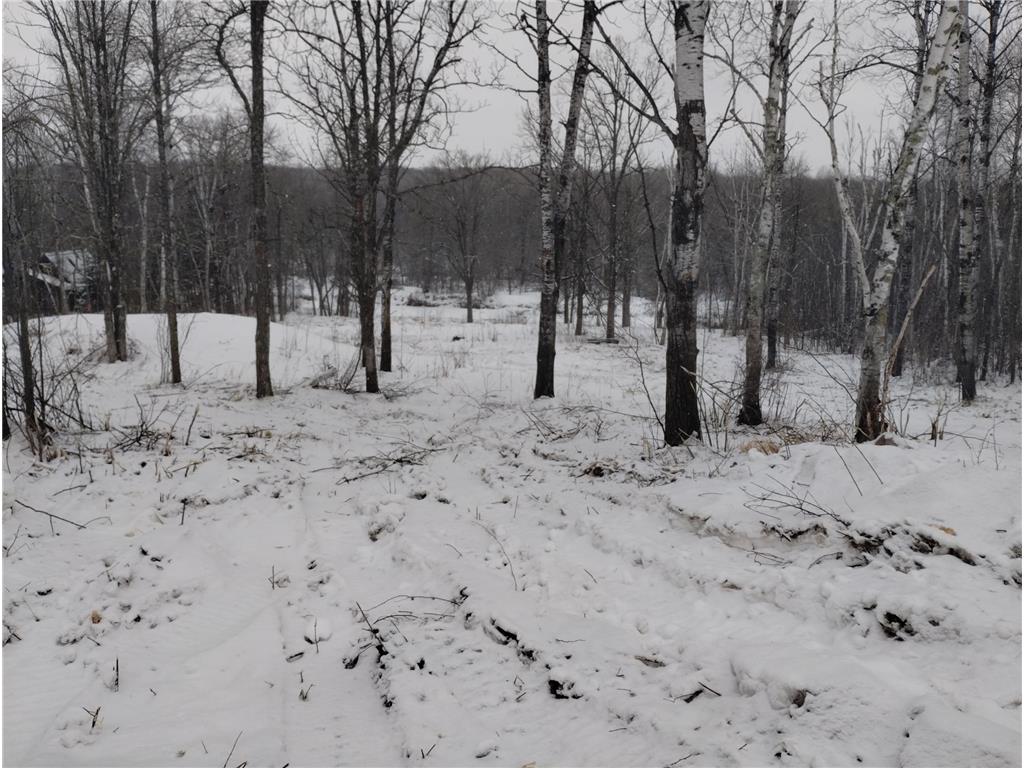 13649 188th Place Williams Twp MN 56350 - Snake River 7007489 image5