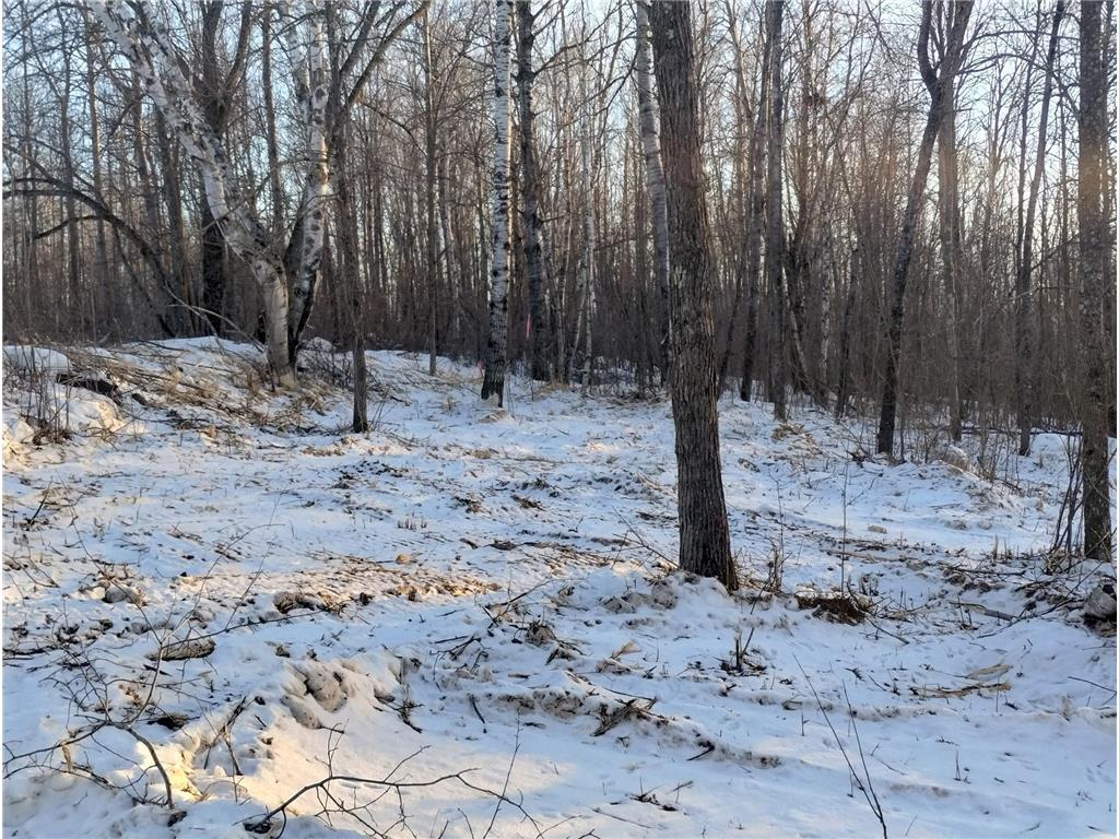 13649 188th Place Williams Twp MN 56350 - Snake River 7007489 image6