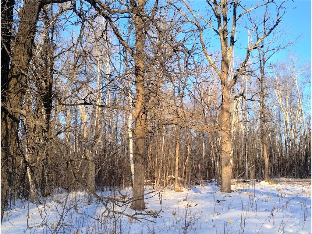 13649 188th Place Williams Twp MN 56350 - Snake River 7007489 image8