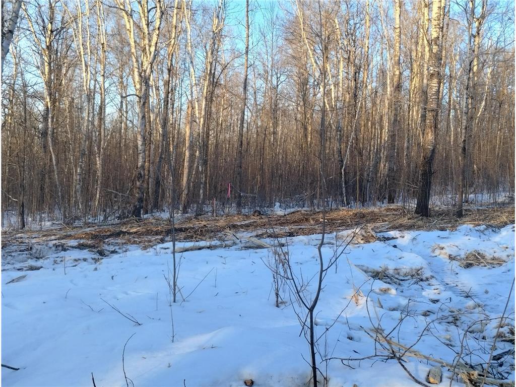 13649 188th Place Williams Twp MN 56350 - Snake River 7007489 image9