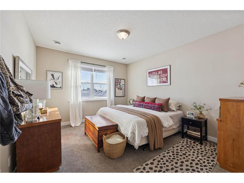 13650 Applewood Trail Rosemount MN 55068 7002965 image14