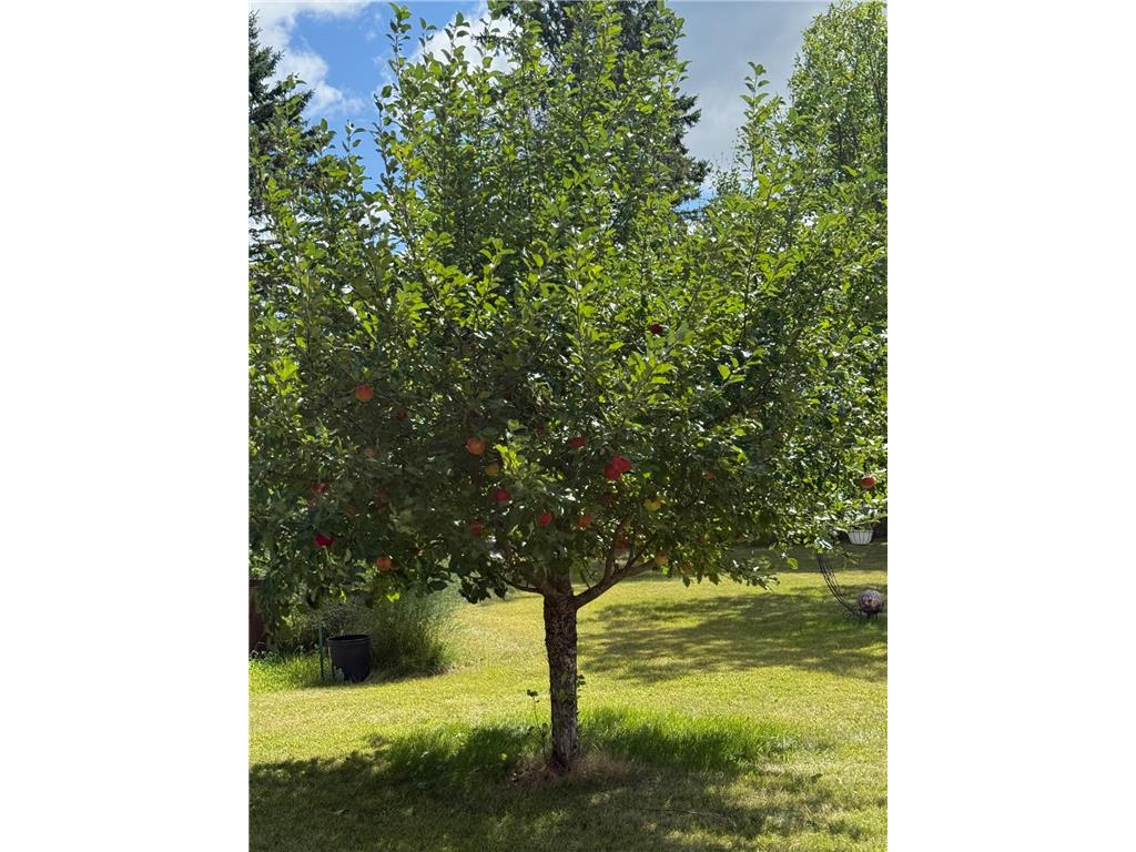 13658 County Road 100 Wadena MN 56482 7086646 image19