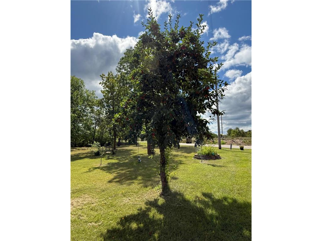 13658 County Road 100 Wadena MN 56482 7086646 image20