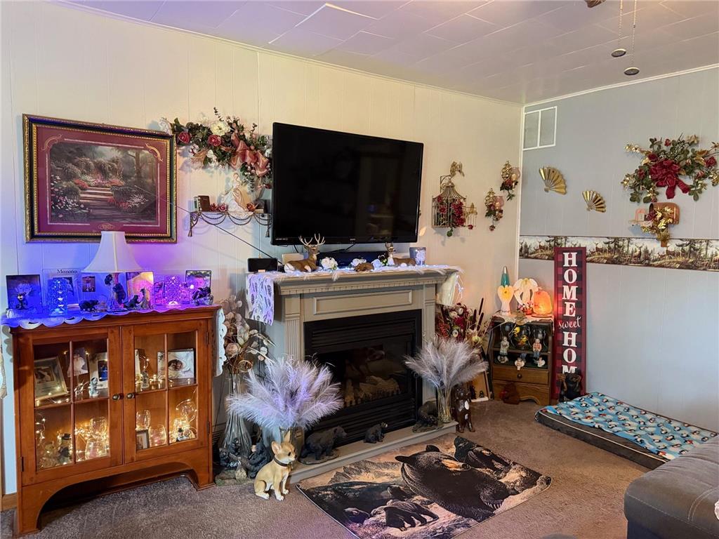 13658 County Road 100 Wadena MN 56482 7086646 image8