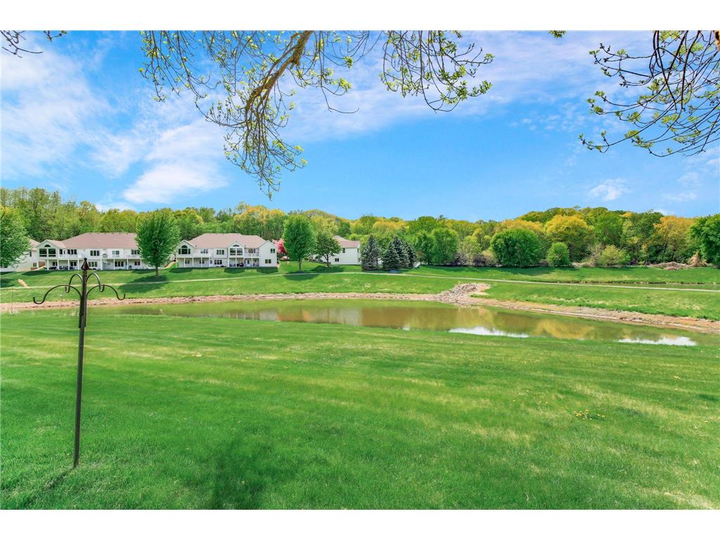 1367 Jackson Drive Hastings MN 55033 7068998 image29