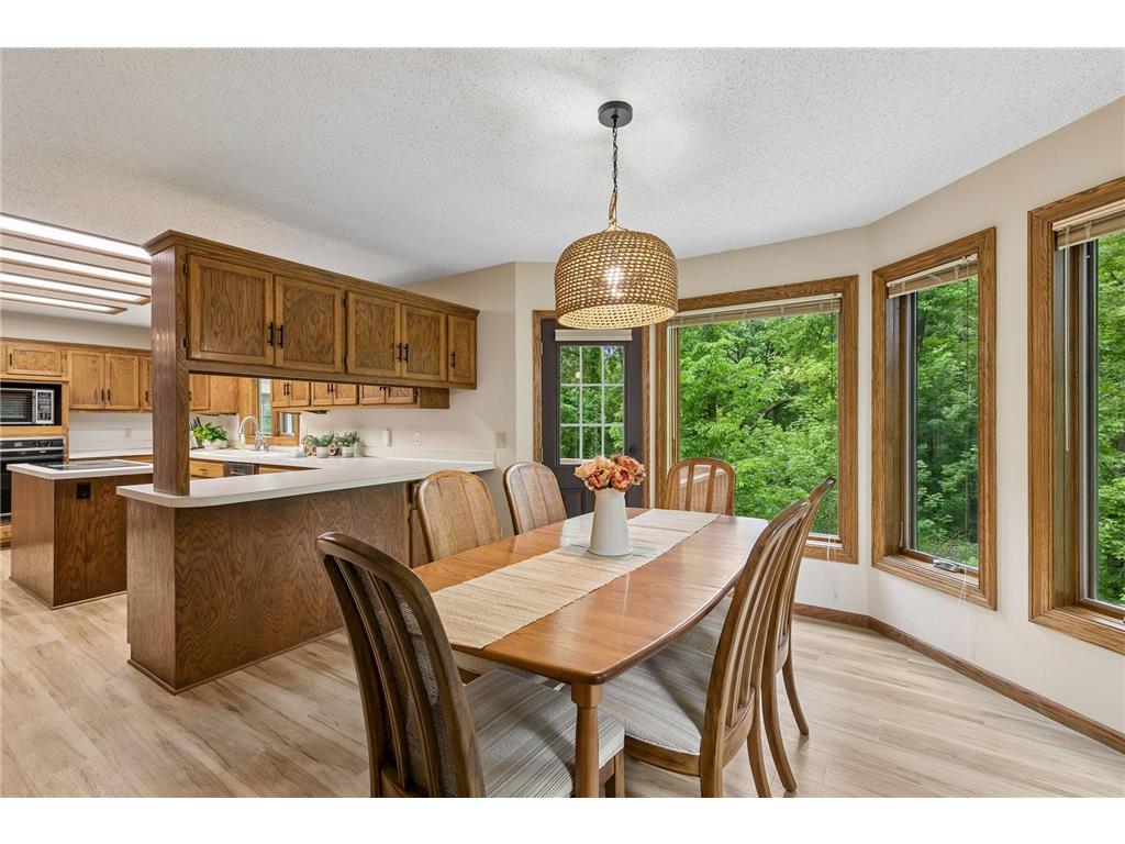 13673 Duluth Drive Apple Valley MN 55124 7088151 image16
