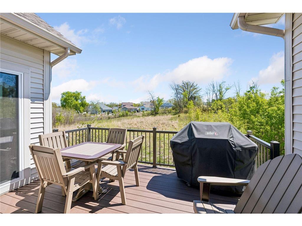 13687 Wildflower Way NE Prior Lake MN 55372 7056066 image42