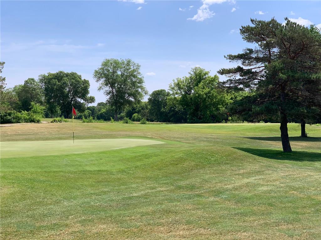 13689 Ringneck Way Rogers MN 55374 7018671 image17