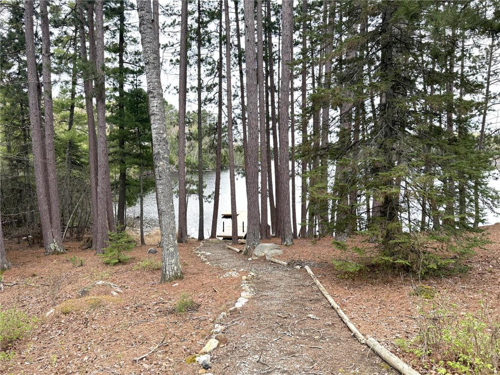13699 Mill Road Fall Lake Twp MN 55731 - Garden 7045122 image75