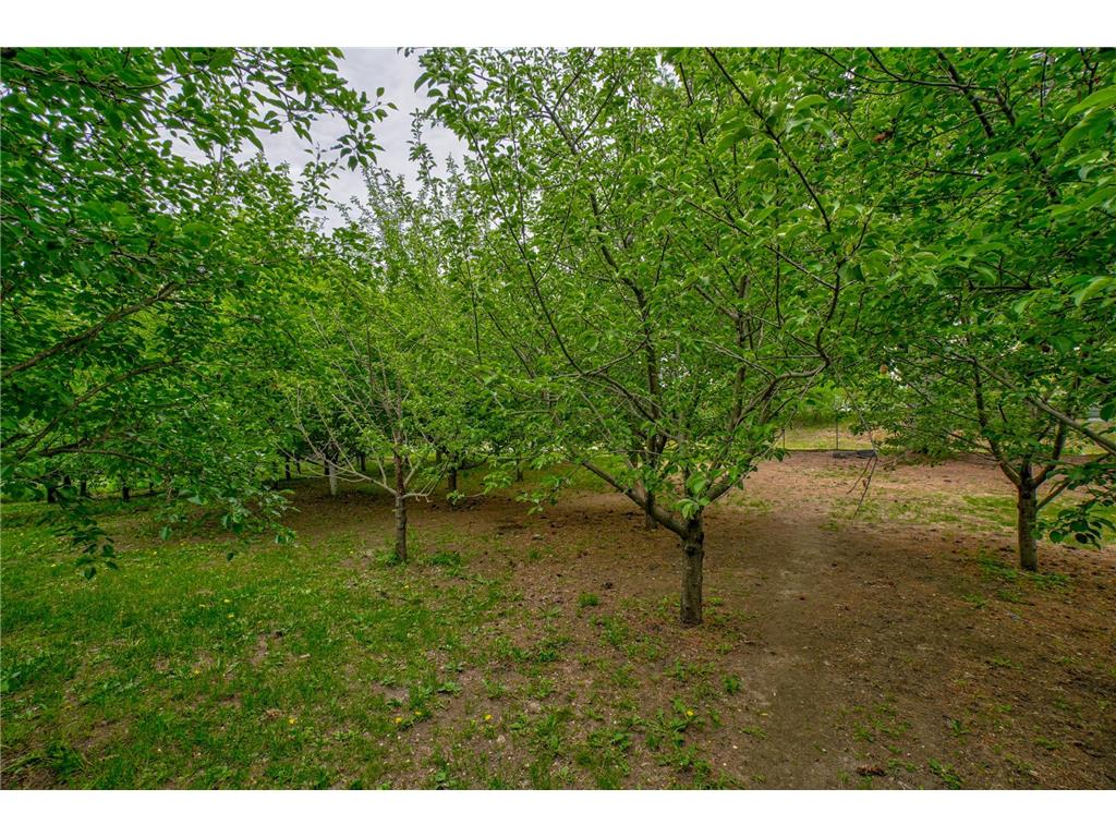 1371 60th Avenue Amery WI 54001 7056563 image12
