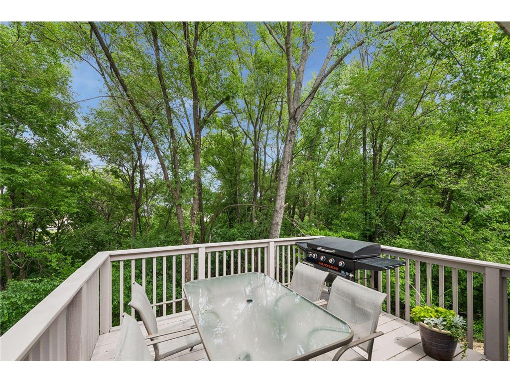 13710 5th Avenue N Plymouth MN 55441 7031643 image17