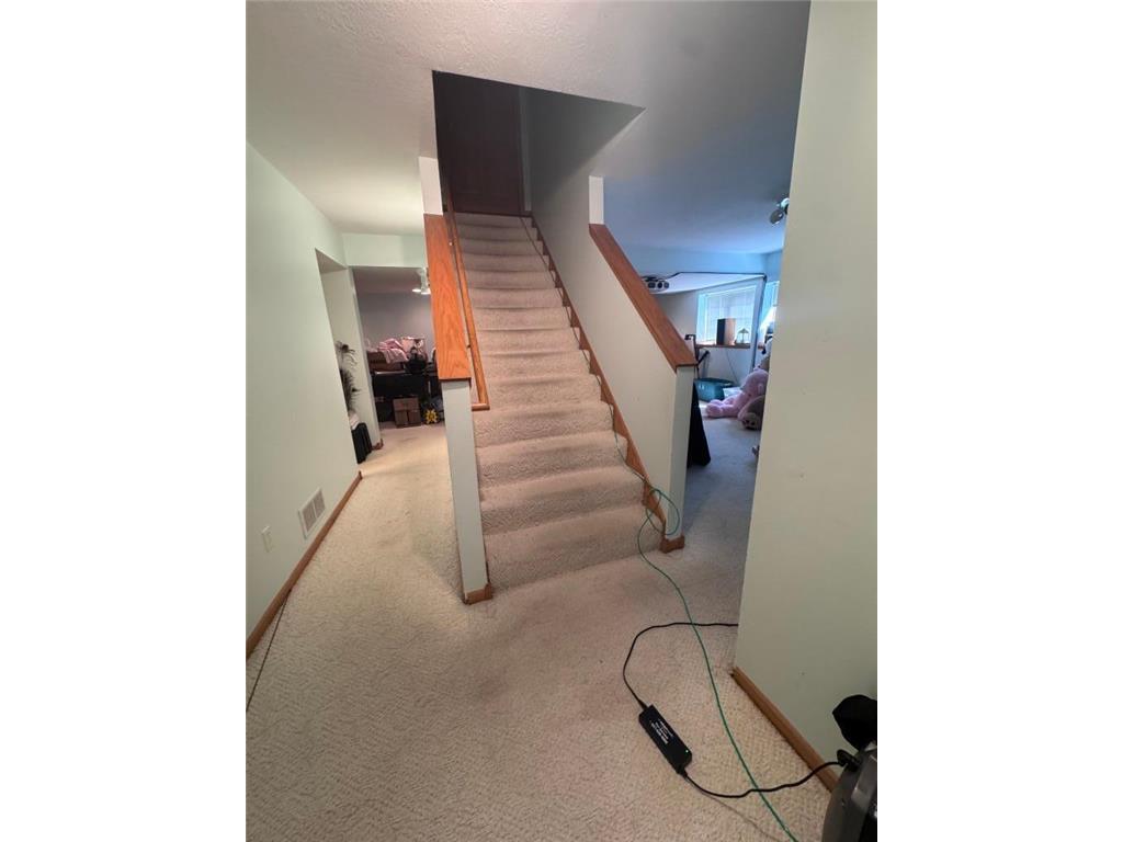 1372 20th Street NE Owatonna MN 55060 7056559 image11